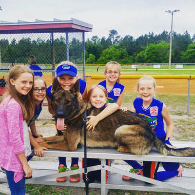 Limitless K9 of Jacksonville, Fl service dog with children at a softball game.